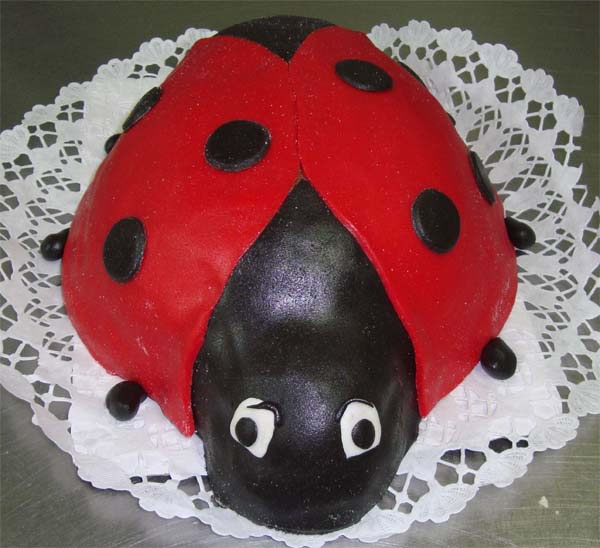 Katicabogár alakú torta